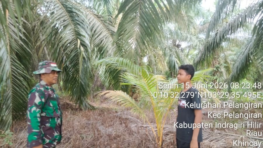 Upaya Pencegahan Karhutlah, Babinsa Koramil 10/Pelangiran Rutin Lakukan Patroli Tapal Batas