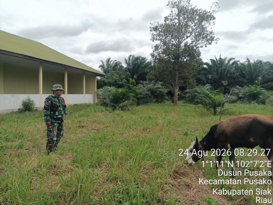 URC PMK Semprot Ternak Warga di Dusun Pusaka