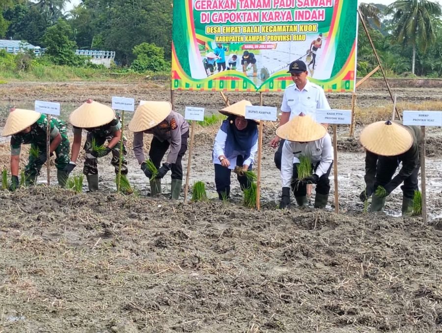 Wakili Dandim 0313/KPR, Danramil 01/Bangkinang Hadiri Gerakan Tanam Padi Sawah Gapoktan Karya Indah