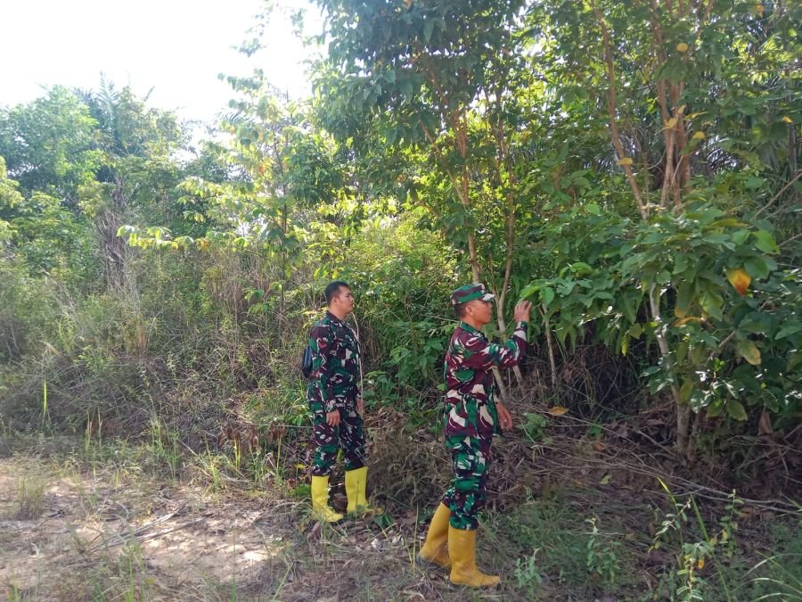 Waspada Karhutla, Babinsa Koramil 03/Mandau Patroli di Jalan Sakura Air Jamban