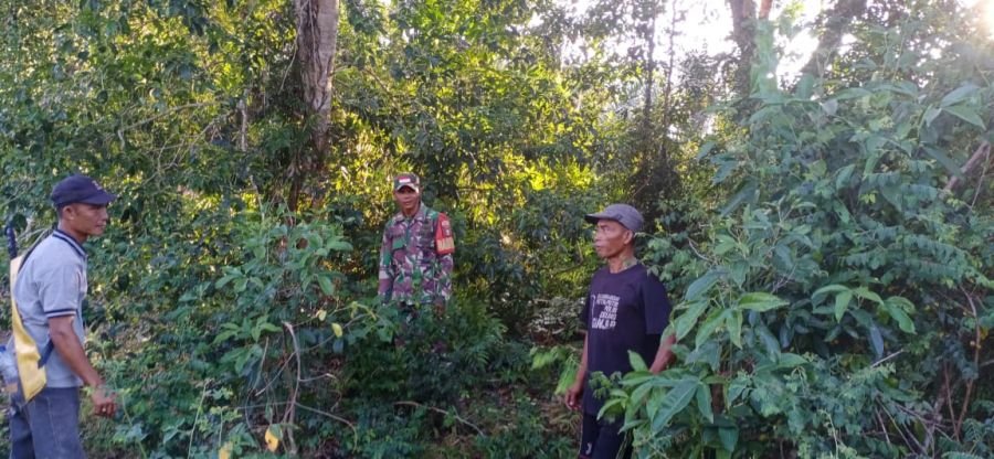 Waspada Karhutla, Serda C.J. Silalahi Gencarkan Patroli dan Edukasi Warga Desa Lukit
