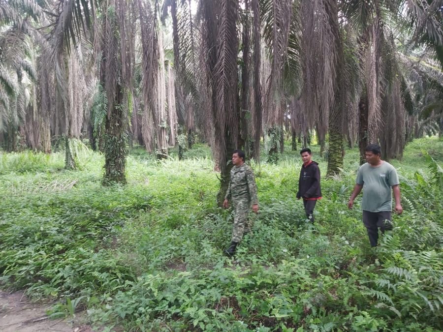 Waspadai Titik Api, Babinsa Koramil 04/Perawang Serda Deddy dan Warga Perkuat Pencegahan Karhutla