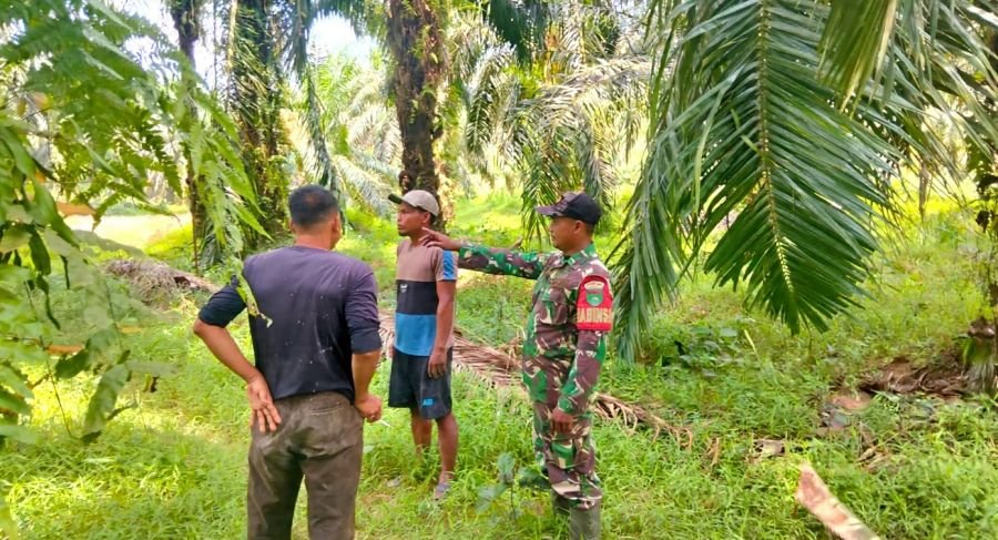 Wilayah Binaan Koramil 09/Kemuning Kondusif, Patroli Tapal Batas Rutin Digelar Oleh Babinsa