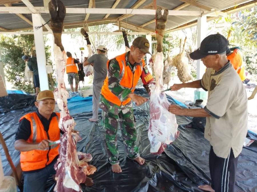 Wujud Kemanunggalan TNI-Rakyat, Babinsa Koramil 01/Bangko Bersinergi Jadi Panitia Qurban di Pekaitan