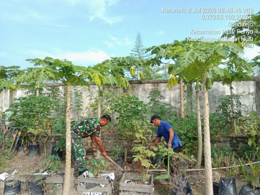 Wujudkan Kemanunggalan TNI-Rakyat, Babinsa Koramil 04/Pasir Penyu Bantu Warga Bersihkan Kebun