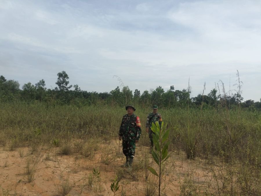 Wujudkan Lingkungan Aman, Babinsa Koramil 03/Mandau Rutin Patroli Cegah Kebakaran Lahan
