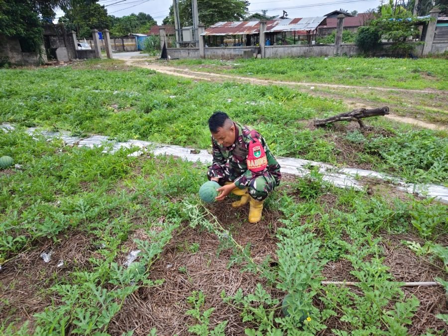 *Wujudkan Masyarakat Sejahtera, Babinsa Koramil 06 Siak Hulu Laksanakan Komsos dengan Petani Semangk