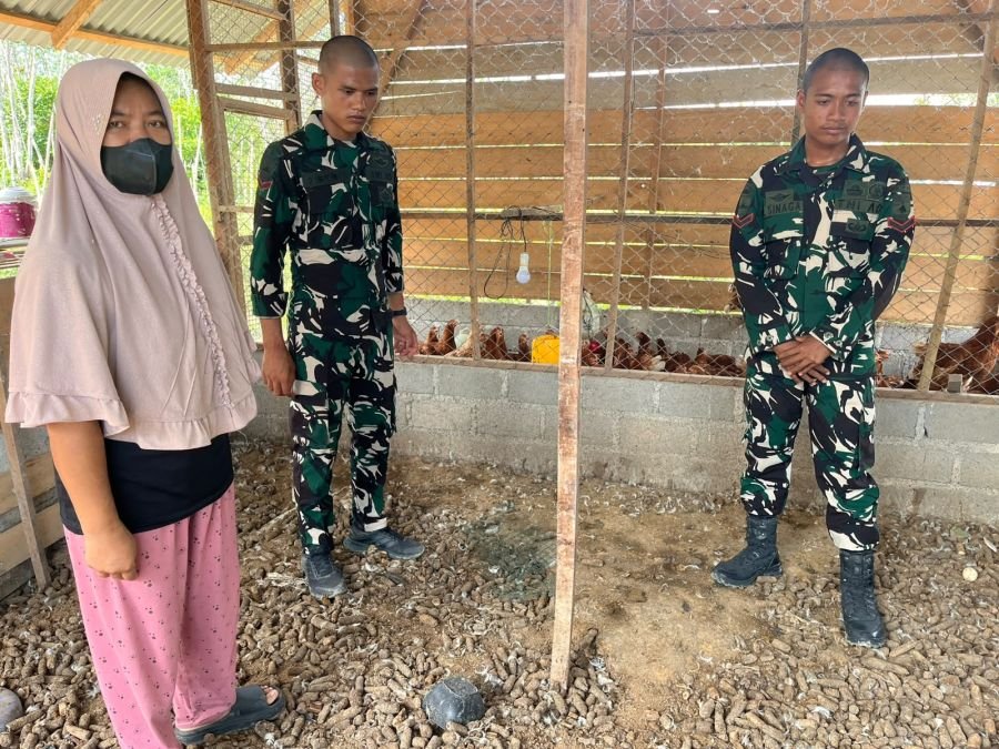 Yonif TP 850/SC Gelar Komsos Ketahanan Pangan Ayam Petelur di Semelinang Darat