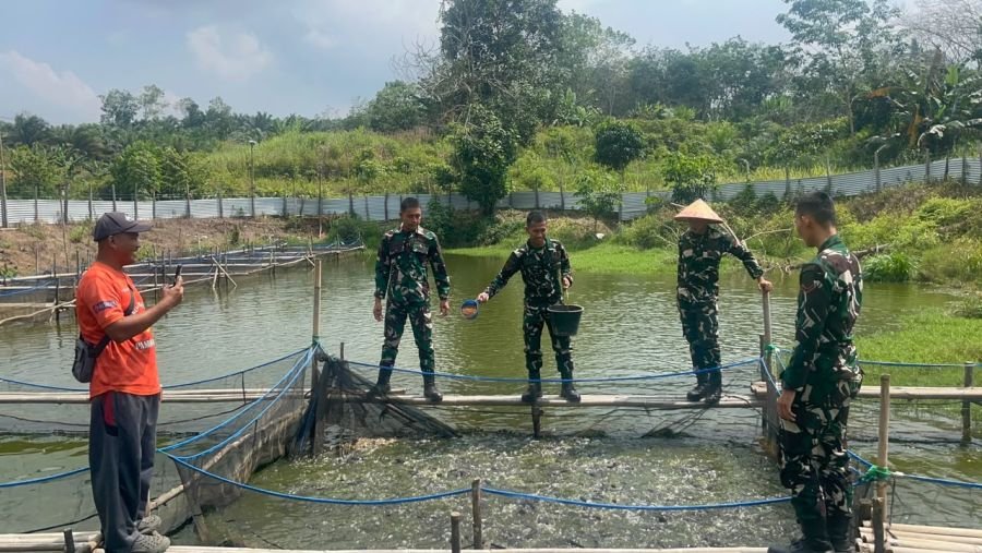 Yonif TP 850/SC Perkuat Ketahanan Pangan Melalui Budidaya Lele