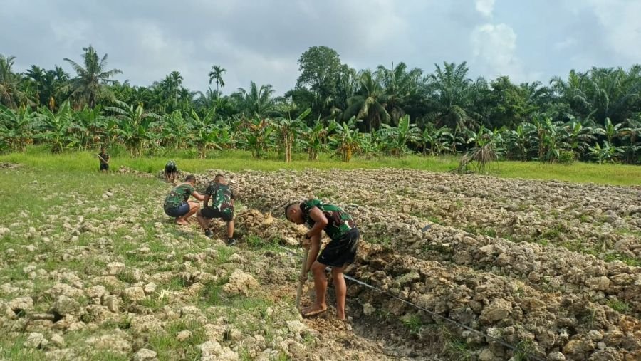 Yonif TP 953/HR Buka Lahan Pertanian Baru, Perkuat Ketahanan Pangan