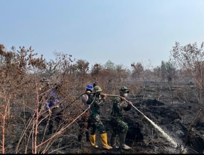 205 Personel Gabungan Tangani Karhutla di Rantau Baru Pelalawan