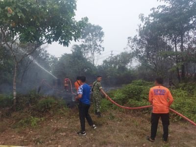 Api Lahap Lahan Kosong Babinsa dan Tim Gabungan Bergerak Cepat