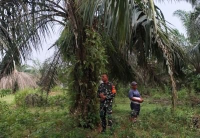 Babinsa Batu Teritip Gencarkan Patroli dan Sosialisasi Karhutla, Titik Api dan Asap Nihil