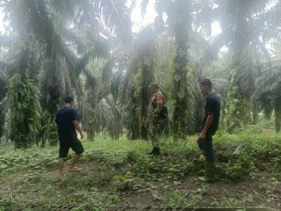 Babinsa dan MPA Sisir Wilayah Tenayan Raya, Antisipasi Dini Ancaman Karhutla