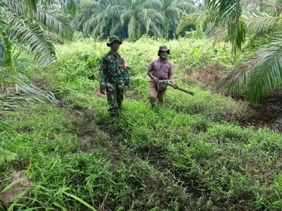 Babinsa dan Warga Patroli Karhutla di Teluk Batil, Tak Temukan Titik Api
