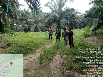 Babinsa Kandis Sisir Titik Rawan Karhutla di Kandis Kota