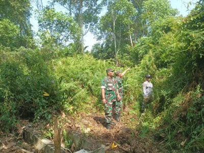 Babinsa Koramil 01 Bengkalis Sertu Syafrizal rutin menghimbau dan sosialisasi dampak kebakaran hutan