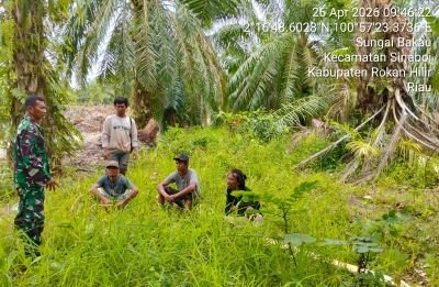 Babinsa Koramil 01/Bangko Sosialisasi Cegah Karhutla Sambil Patroli di Hutan Sinaboi
