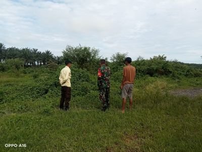 Babinsa Koramil 01/Siak Dampingi Vaksinasi PMK, Perkuat Perlindungan Kesehatan Ternak