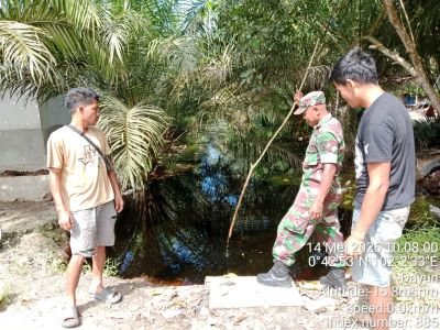 Babinsa Koramil 01/Siak Intensifkan Patroli Karhutla, Dayun Nihil Titik Api