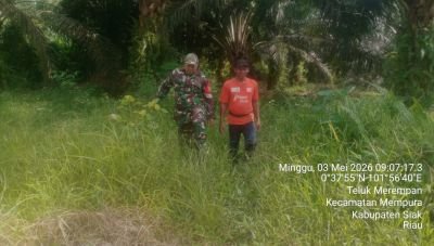 Babinsa Koramil 01/Siak Laksanakan Patroli Karhutla, Teluk Merempan Nihil Titik Api