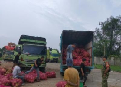 Babinsa Koramil 01/Tembilahan Monitoring Aktivitas Bongkar Muat Kelapa di Wilayah Binaan