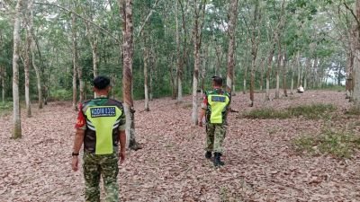 Babinsa Koramil 02/KT Patroli Cegah Karhutla di Desa Jake