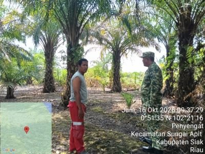 Babinsa Koramil 02/SA Sisir Kampung Penyengat, Titik Api Nihil