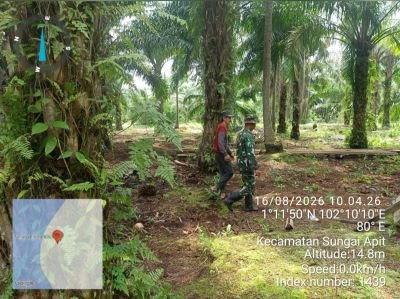 Babinsa Koramil 02/Sungai Apit Patroli Karhutla, Pastikan Tidak Ada Titik Api