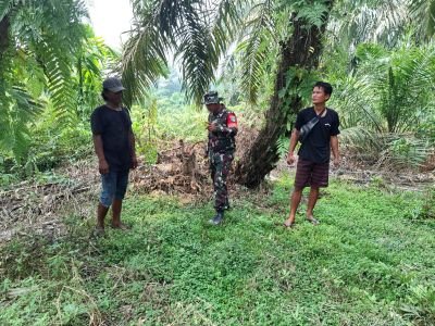 Babinsa Koramil 04/Perawang, Sertu Sarju Tingkatkan Kewaspadaan di Tengah Ancaman Karhutla
