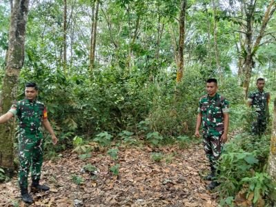 Babinsa Koramil 06/Cerenti Laksanakan Patroli Karhutla di Desa Pulau Panjang