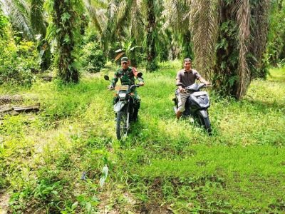 babinsa-koramil-10-kunto-darussalam-kodim-0313kpr-di-riau-tingkatkan-pencegahan-karhutla