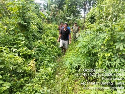 Babinsa Koramil 12/Batang Tuaka Intensifkan Patroli Karhutla di Kuala Sebatu, Titik Api Nihil