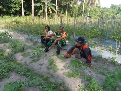 Babinsa Pangke Pererat Hubungan dengan Petani Lewat Komsos Humanis