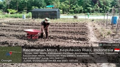 Babinsa Sugie Pimpin Aksi Nyata, Lahan Kosong Disulap Jadi Kebun Kangkung