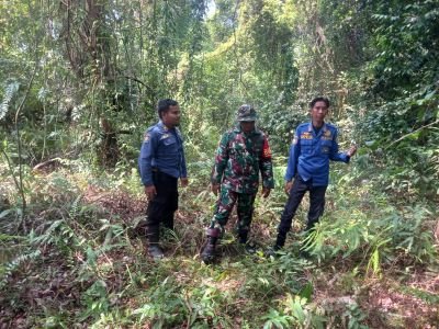 Cegah Api Meluas, Babinsa Koramil 04/Rupat Sisir Hutan Pancur Jaya