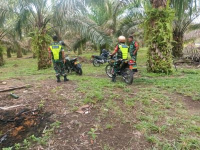 Cegah Karhutla, Babinsa Koramil 02/KT  Sisir Pulau Godang Kari