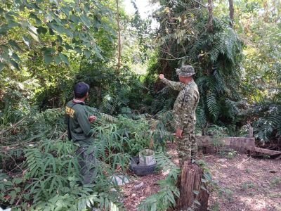 Cegah Karhutla , Babinsa Koramil 06/Sukajadi Kodim 0301/Pekanbaru Gencarkan Patroli di wilayah