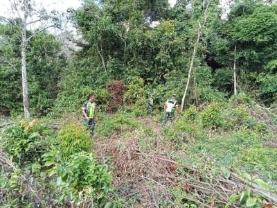 Cegah Karhutla Meluas, Babinsa Sisir Wilayah Beringin Taluk