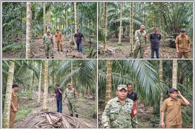 Cegah Kebakaran Hutan dan Lahan, Babinsa Koramil 01/Bengkalis Laksanakan Patroli Karhutla di Desa Be