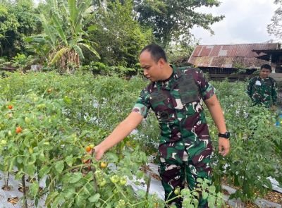 Dari Lahan Kosong Menjadi Kebun Produktif, Dandim 0303/Bengkalis Apresiasi Kegigihan Sertu Amri