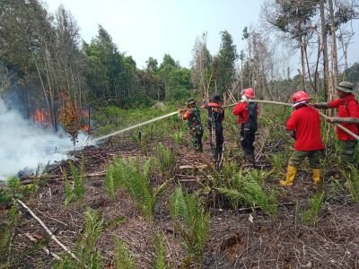 Hari Kedua Penanggulangan Karhutla di Tasik Tebing Serai, Helikopter Water Bombing Dikerahkan