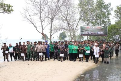 HUT TNI ke-81, Kodim 0317/TBK Tanam 1000 Mangrove Lindungi Pesisir Pangke