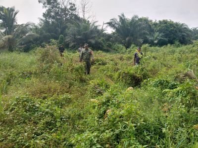 Jaga Darul Aman dari Ancaman Api, Babinsa Koramil 04/Rupat Turun Langsung ke Lahan Rawan