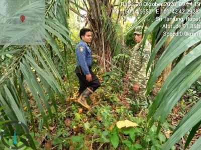 Jaga Rupat dari Ancaman Karhutla, Babinsa dan Warga Desa Sri Tanjung Perkuat Patroli di Lahan Rawan