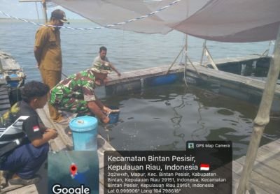 Babinsa Mapur Dorong Warga Kembangkan Keramba Ikan untuk Ketahanan Pangan