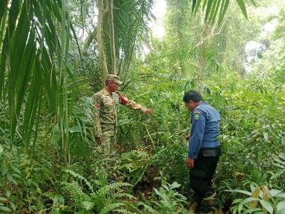 Menjaga Rupat Tetap Hijau, Babinsa Koramil 04/Rupat Ajak Warga Terkul Cegah Karhutla