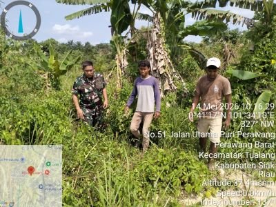 Patroli Karhutla Digencarkan, Babinsa Koramil 04/Perawang Turun Langsung ke Lapangan