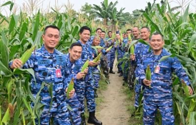 perkuat-ketahanan-pangan-danlanud-rsn-pimpin-panen-jagung-di-kebun-mustang