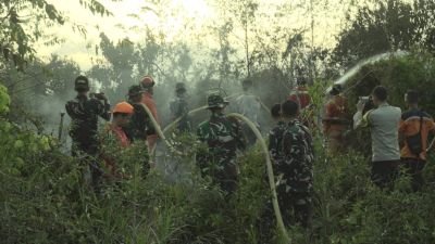 Sinergi TNI dan Tim Gabungan Berhasil Padamkan Karhutla di Desa Bukit Langkap